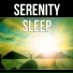 Restful Sleep Music Consort