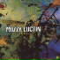 Muzzy Luctin