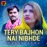 Malik Ayaz