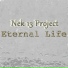 Nek 13 Project