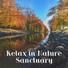 Relaxing Nature Sounds Collection