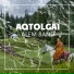 Alem band