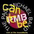 THE PAUL MICHAEL BAND