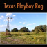 Bob Willis & His Texas Playboys
