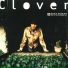Honey & Clover