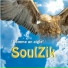 Soul Zik