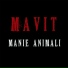 Mavit