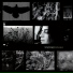 Ninet Tayeb