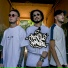 JungleJunkiez