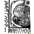 Warthog