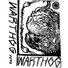Warthog