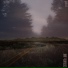 CXSTLAVIX, Jane