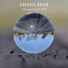 Android Brain