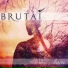 Progressive Metal Melodic Metalcore
