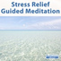 Guided Meditation