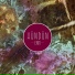 Hündün