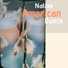 Native American Flute Tribe