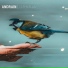Andrain