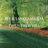 Feliciano Amaral