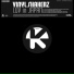 Vinylshakers