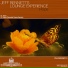 Jeff Bennett's Lounge Experience