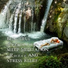 Elements of Relaxation