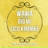 Wawa Salegy feat. Big MJ, Lico Kininike