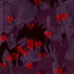 redsplash