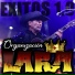 Organización Lara