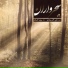 Aliakbar Moradi, Bijan Kamkar