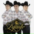 Grupo L-gante