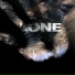 Lone-Project