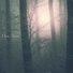 Ulex
