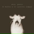 Elio Petri feat. Marco Parente