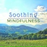 Soothing Motion