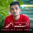 Abdulmajeed Amer
