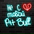 P1t bull