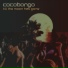 Cocobongo