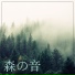 森の音 Star