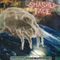 Smashed Face