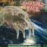 Smashed Face