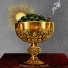 Pat Ron x Coach Tev