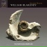 William Blakeney