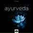 Yoga Music & Massage Tribe