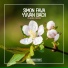Simon Fava, Yvvan Back