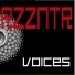 Rezzonator