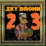 Sky Brown, Emii