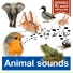 Hermes Ph1 Sound-Effects