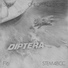Diptera