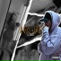lil miller